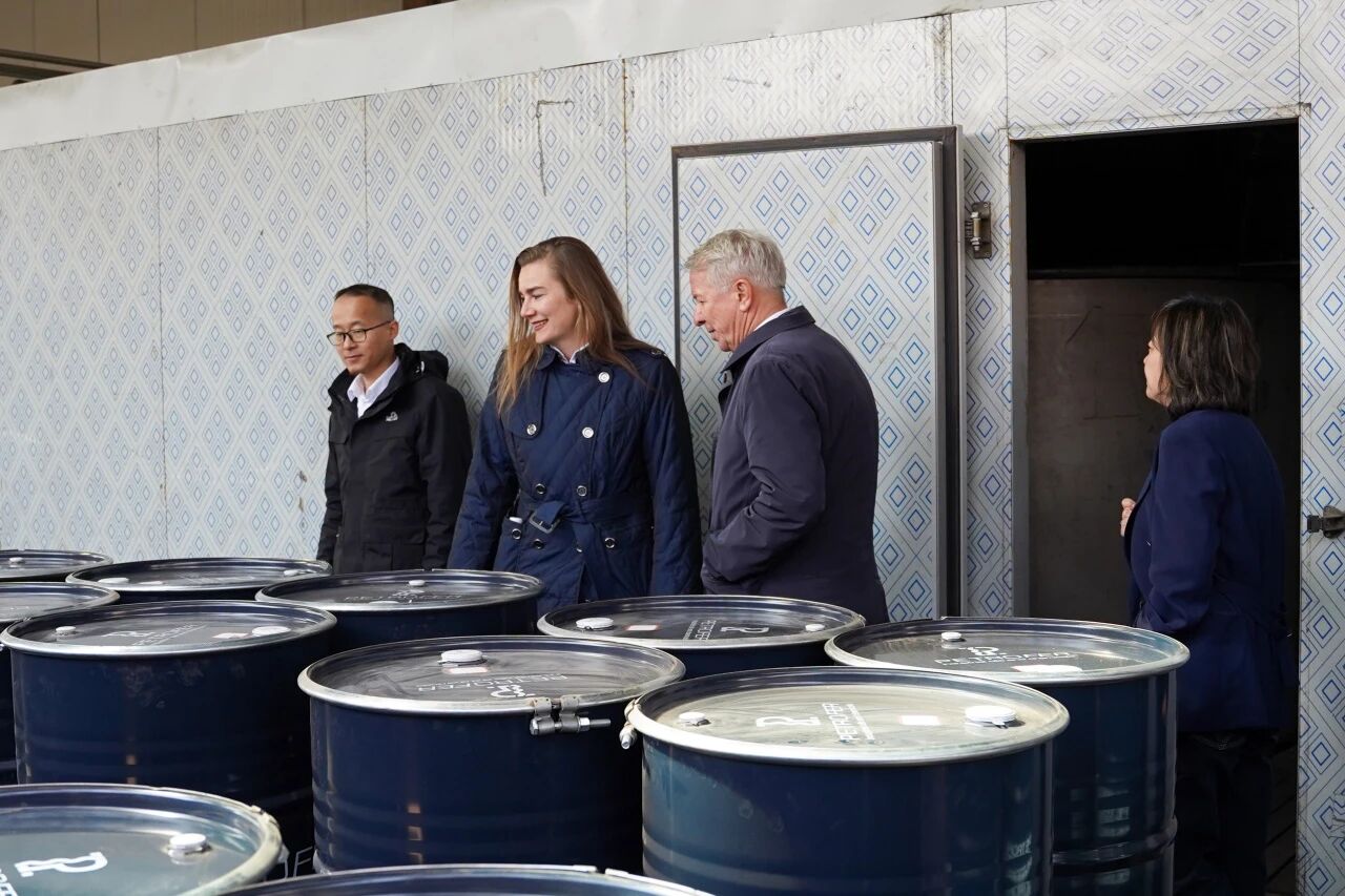 yp街机·电子游戏(中国)最新官网