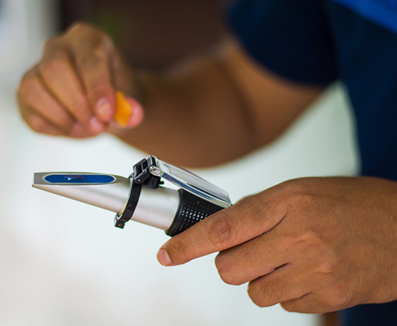 yp街机·电子游戏(中国)最新官网